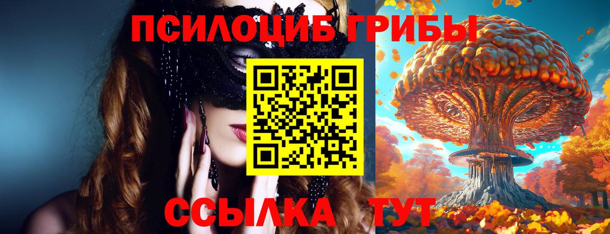 Галлюциногенные грибы ЛСД Заводоуковск