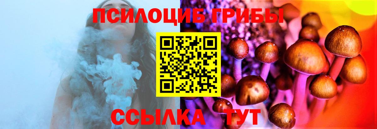 Заводоуковск  Псилоцибиновые грибы Cubensis  Вход с VPN 